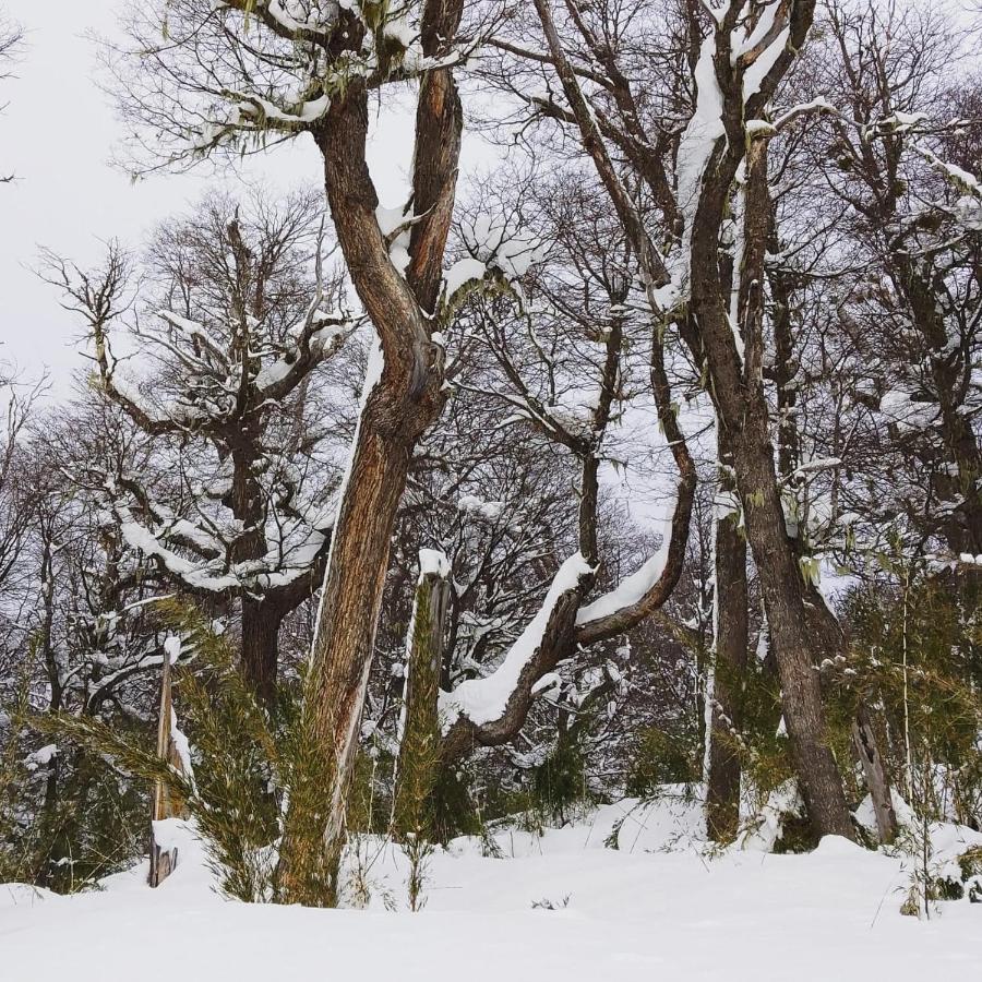 Апартаменти Buena Vista Сан-Карлос-де-Барілоче Екстер'єр фото